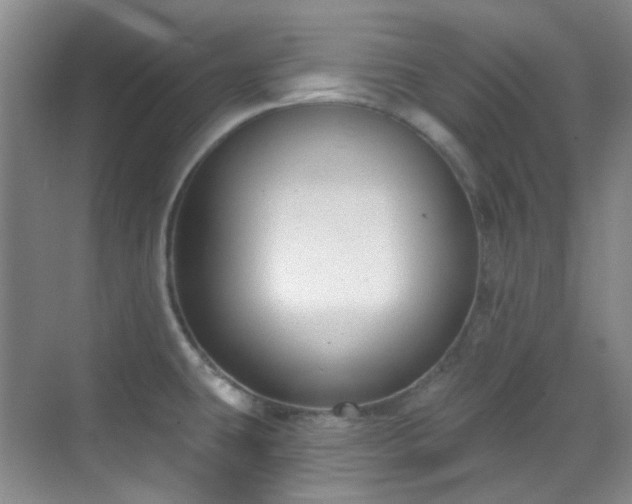 X0000070241431200606091323