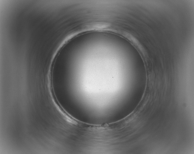 X0000070241432200606091323