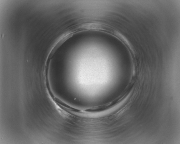 X0000070241434200606091323