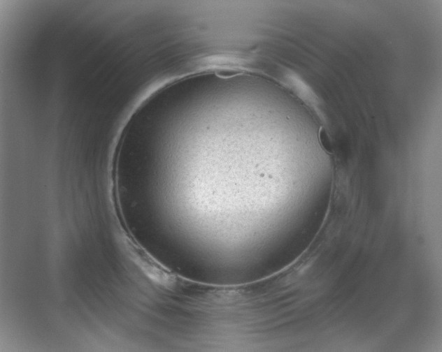 X0000070241435200606091323