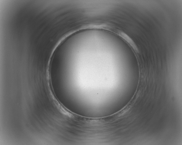 X0000070241436200606091323