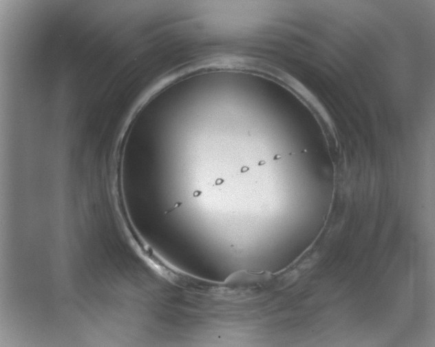 X0000070241437200606091323