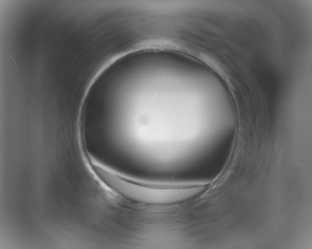 X0000070241440200606091323