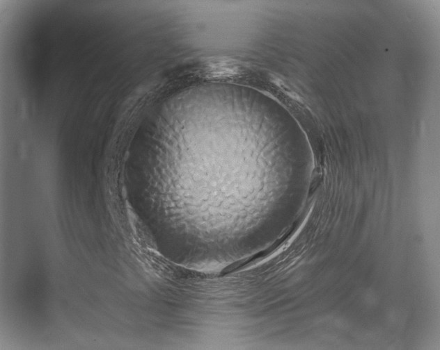 X0000070241441200606091322