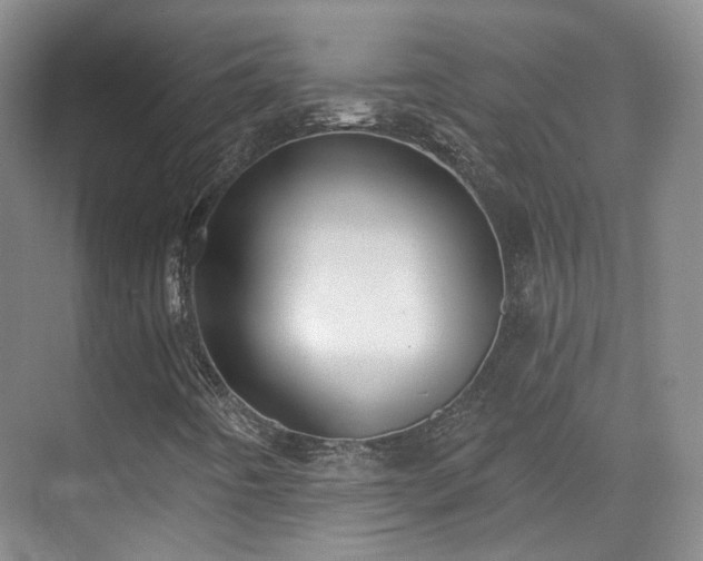 X0000070241442200606091322