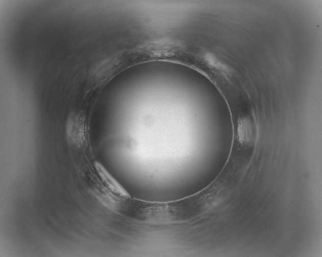 X0000070241444200606091322