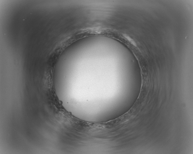 X0000070241446200606091322