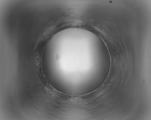 X0000070241447200606091322