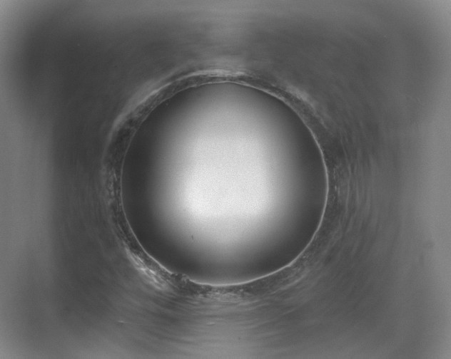 X0000070241448200606091322