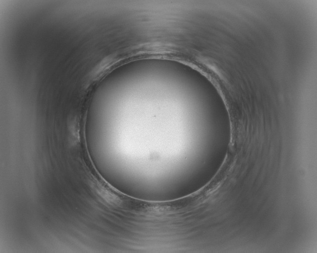 X0000070241451200606091322