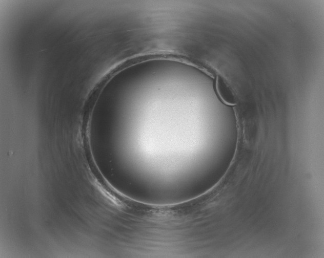 X0000070241452200606091322