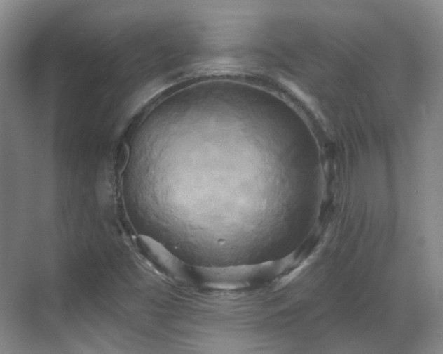 X0000070241453200606091322