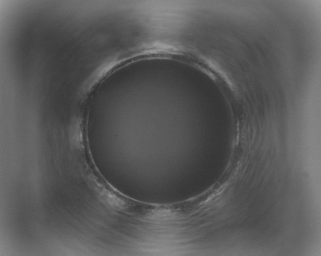 X0000070241455200606091322