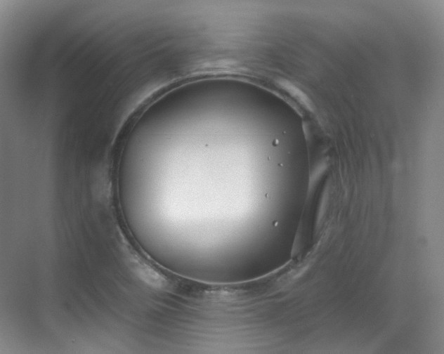 X0000070241458200606091322