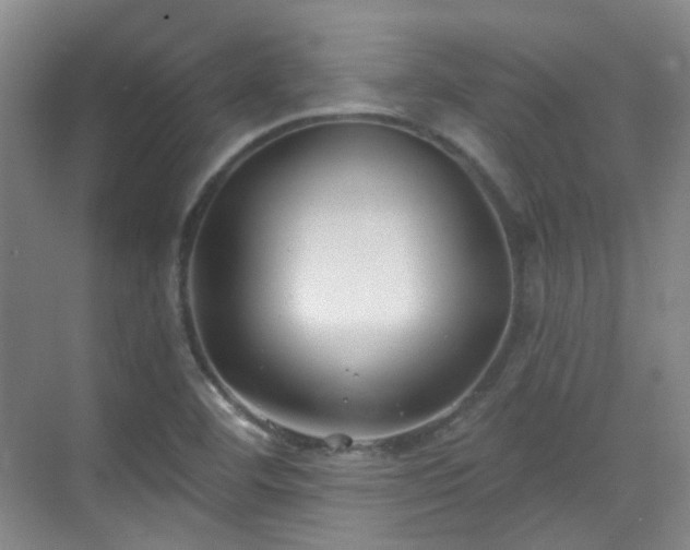 X0000070241460200606091322