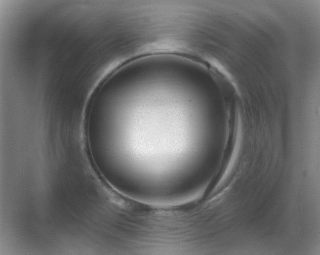 X0000070241469200606091322