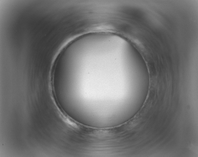 X0000070241470200606091322