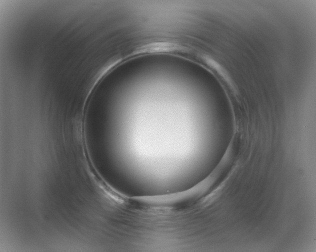 X0000070241473200606091322