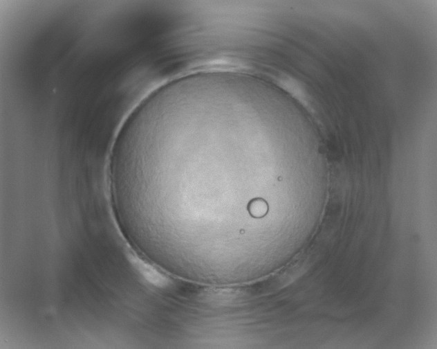 X0000070241474200606091322