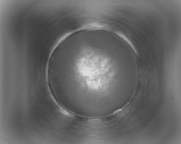 X0000070241477200606091322