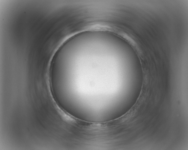 X0000070241478200606091322