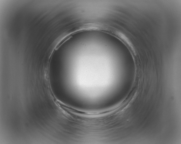 X0000070241481200606091322