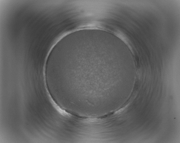 X0000070241482200606091322