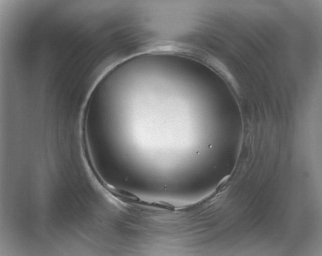 X0000070241483200606091322