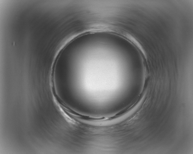 X0000070241485200606091322