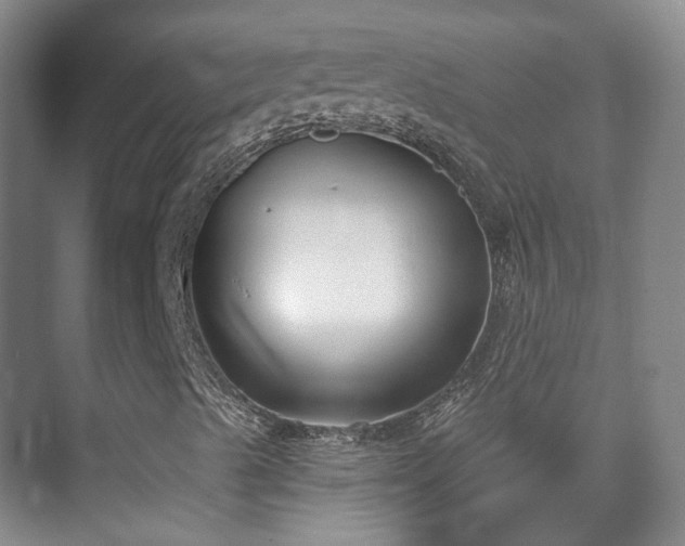 X0000070241489200606091321