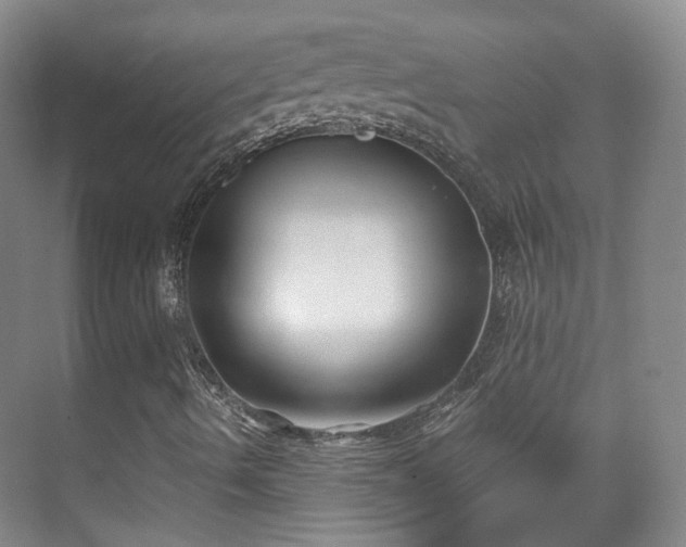 X0000070241490200606091321