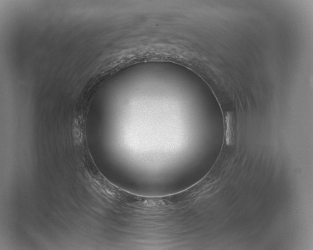 X0000070241491200606091321