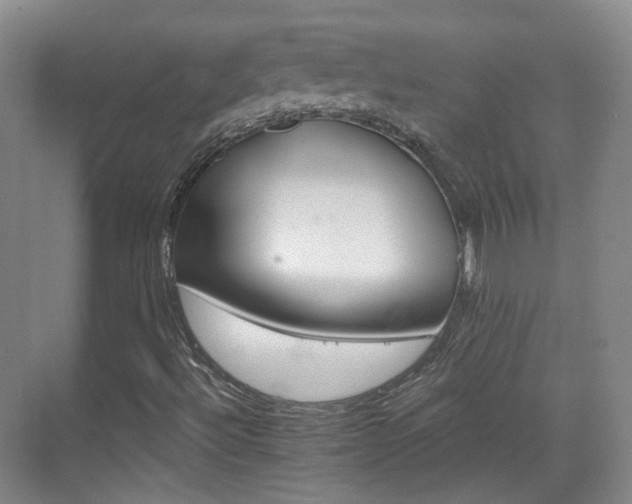 X0000070241492200606091321