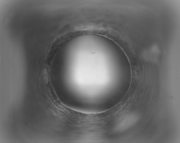 X0000070241493200606091321