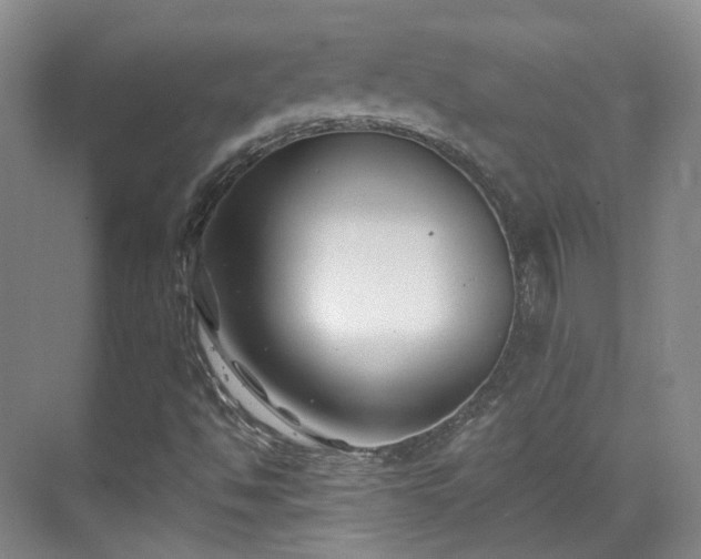 X0000070241494200606091321