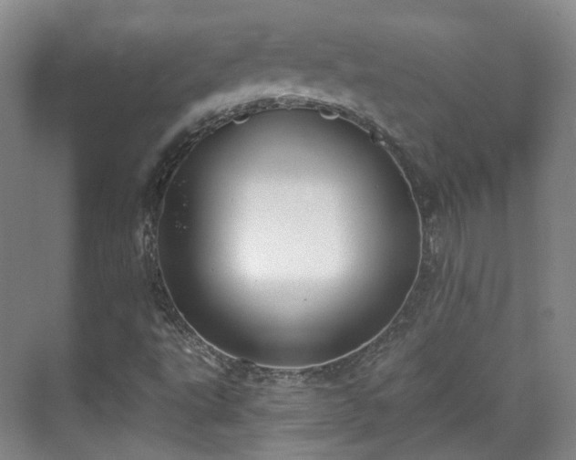 X0000070241495200606091321