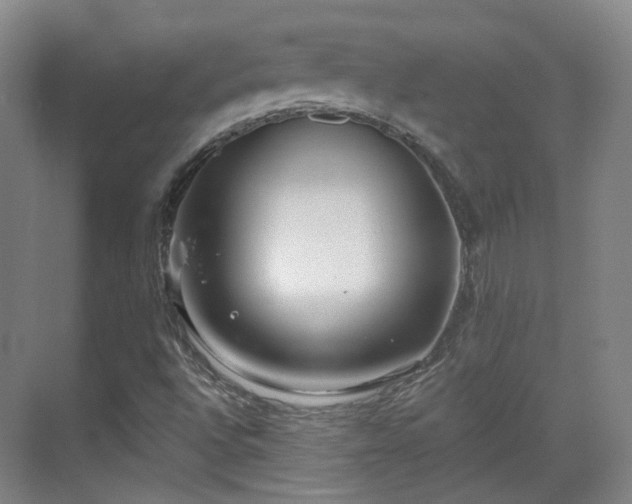 X0000070241496200606091321