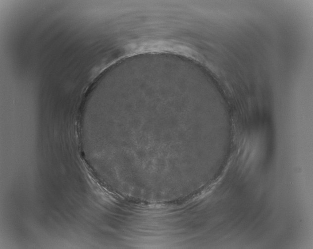 X0000070241497200606091321