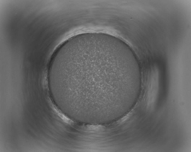 X0000070241498200606091321