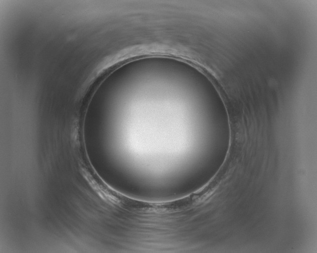 X0000070241499200606091321