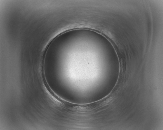 X0000070241500200606091321