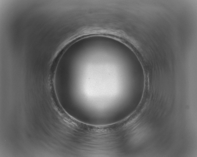 X0000070241501200606091321