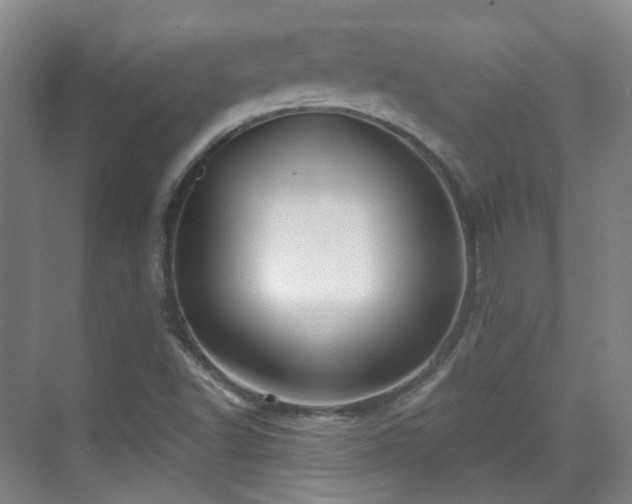 X0000070241502200606091321