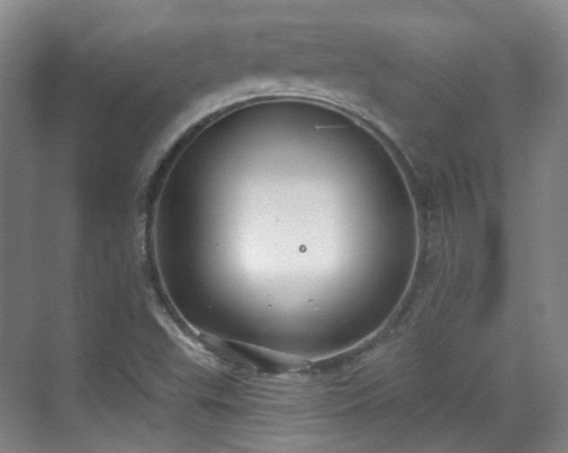 X0000070241503200606091321