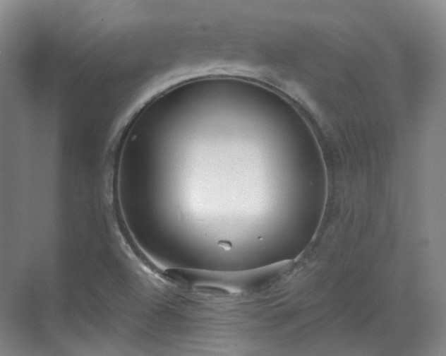 X0000070241504200606091321