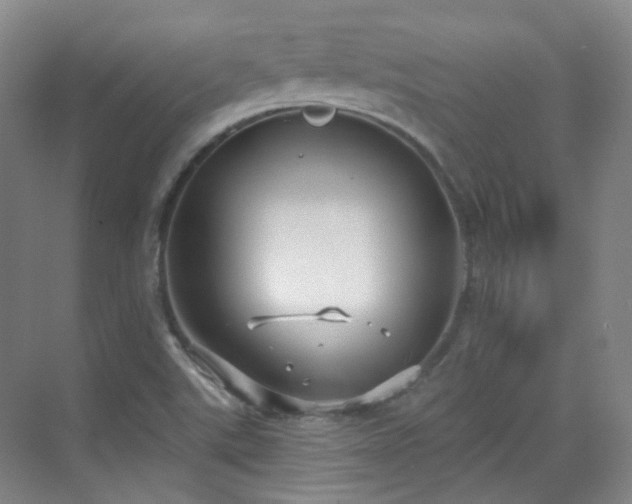 X0000070241507200606091321