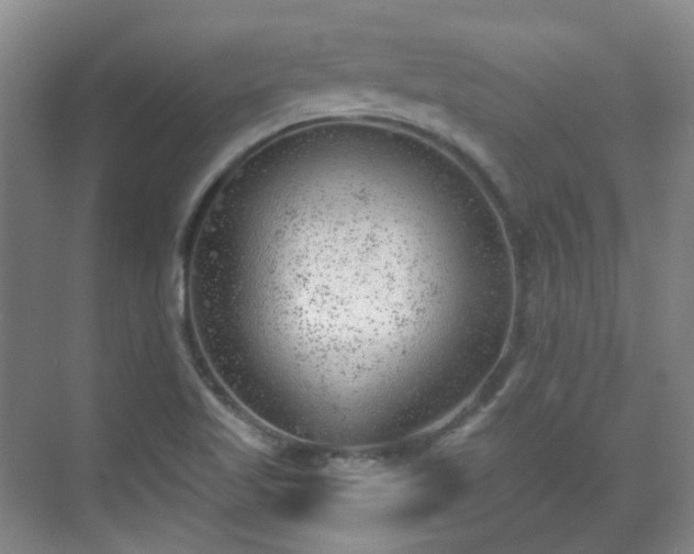 X0000070241509200606091321