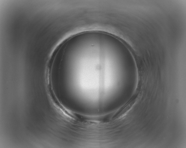 X0000070241510200606091321