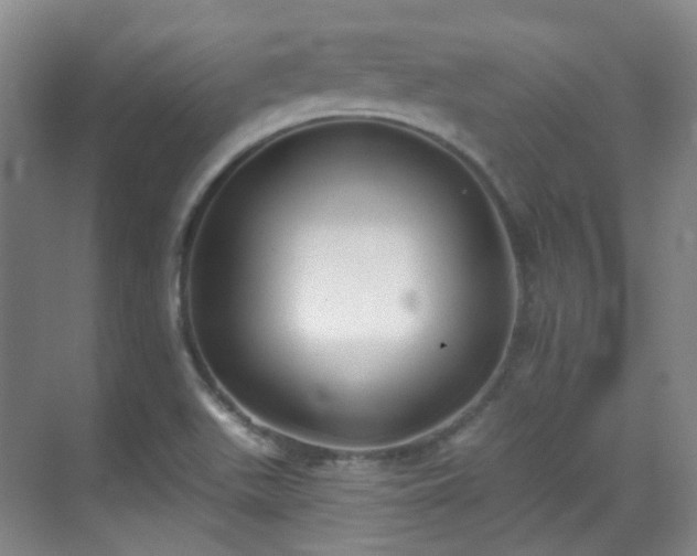 X0000070241511200606091321