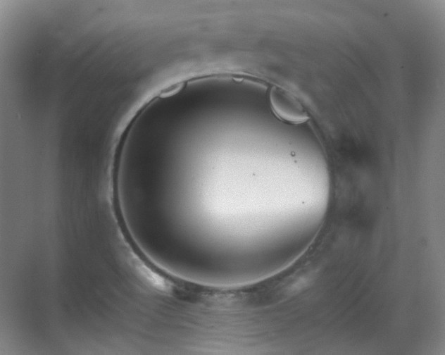 X0000070241512200606091321